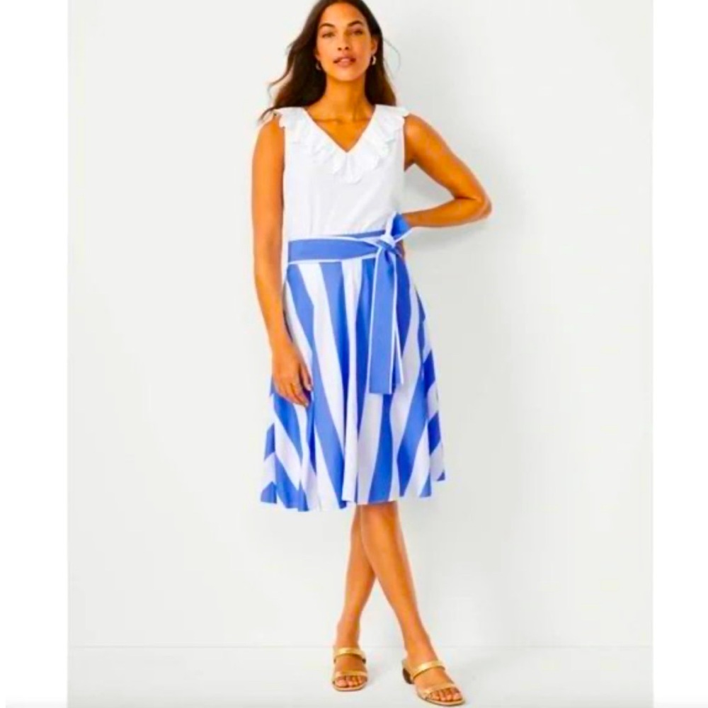 🦋 Ann Taylor Lt. Blue & White Circle Skirt Women’s size 4 Petite NWT 🦋